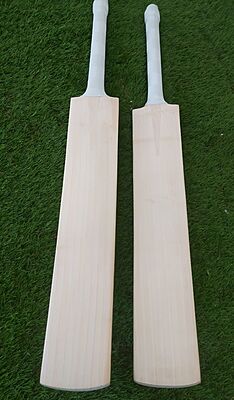 Premium English Willow Cricket Bat – Adult Size | Grade 1 Pro Cricket Bat for Leather Ball Premium English Willow Cricket Bat – Adult Size | Grade 1 Pro Cricket Bat for Leather Ball