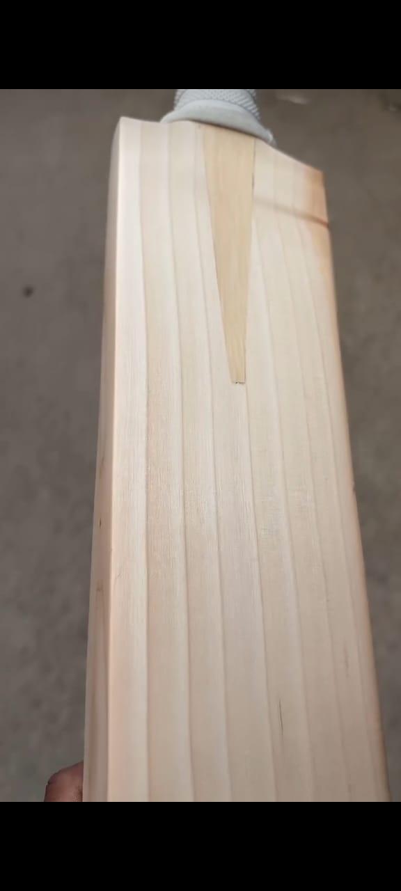 SS TON Lightweight English Willow Bat | Leather Ball Cricket Bat | Superior Balance & Pickup SS TON Lightweight English Willow Bat | Leather Ball Cricket Bat | Superior Balance & Pickup